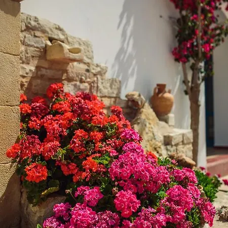 Apartmanhotel Iliana